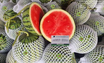 WATERMELON SEEDLESS